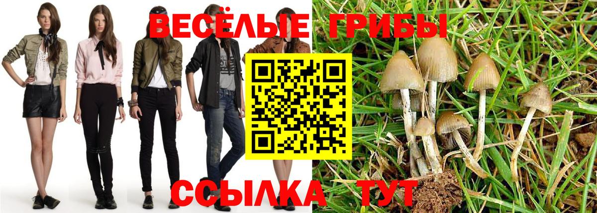 Псилоцибиновые грибы ЛСД Заводоуковск