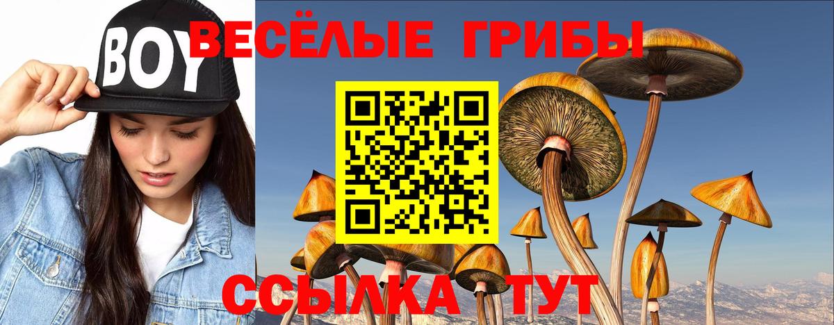 Заводоуковск  Галлюциногенные грибы Cubensis  Вход с VPN  Псилоцибиновые грибы GOLDEN TEACHER 